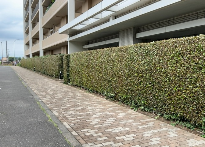 共有部分は、住民なら誰もが使える設備のこと。例えば駐車場やエレベーター、インターネット設備、セキュリティ設備などがあります。他にも、マンションの廊下・外部階段やエントランス・ゴミ置き場などがあります。