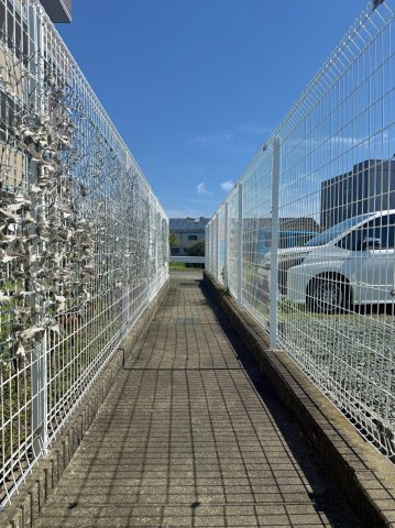 駐車場から庭につづく専用の通路です。