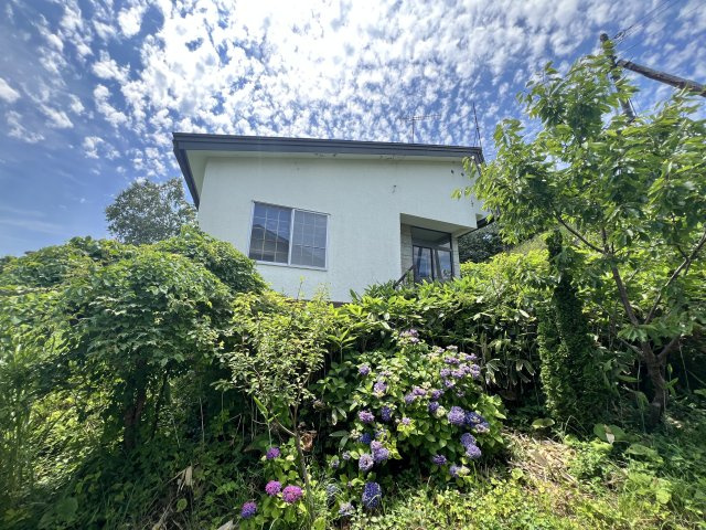 外観：301000102780