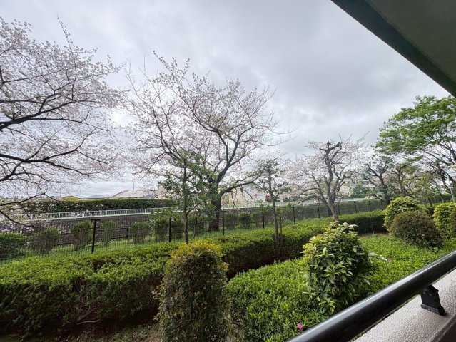 展望