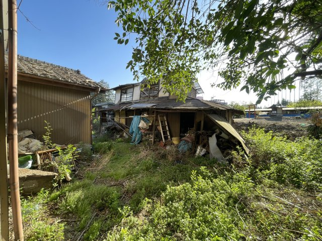 現地(2026年4月撮影)