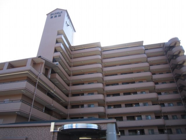 外観：334000260231