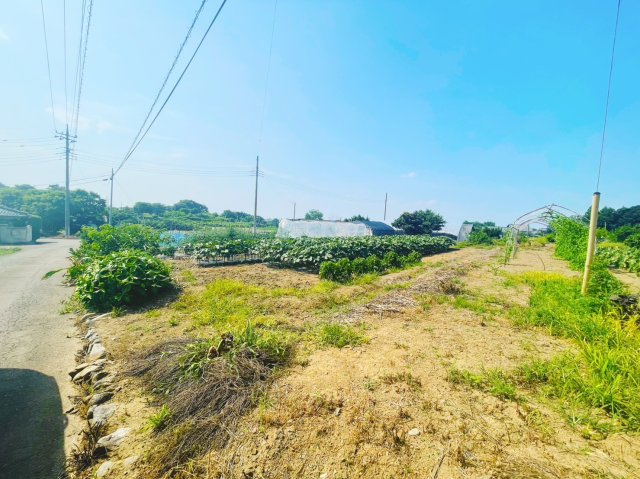 外観：311002368790