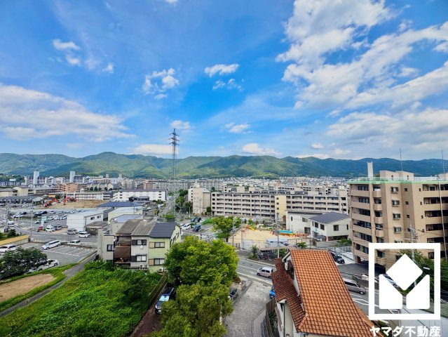 展望