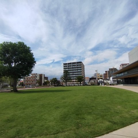 芝のある公園からのマンション外観
