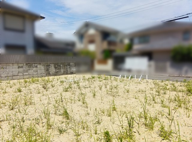敷地内写真