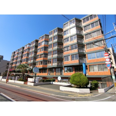 外観：340000258888