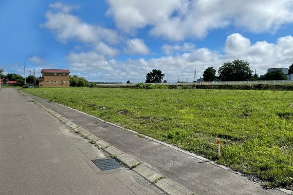 外観：301000100333