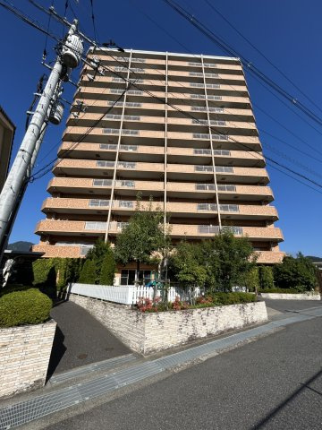 外観：334000205490