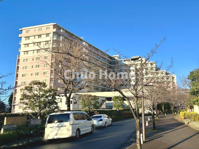 外観：313004634766