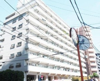 新規内装リノベーション物件です