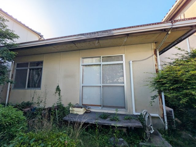 【現地写真】　2026年5月に撮影しました