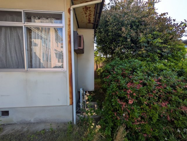 【現地写真】　2026年5月に撮影しました