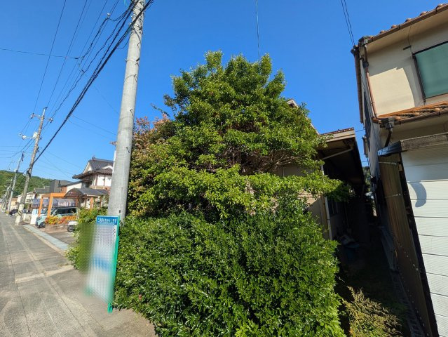 【現地写真】　2026年5月に撮影しました