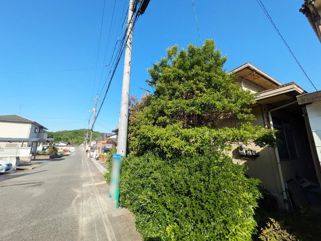 【現地写真】　2026年5月に撮影しました