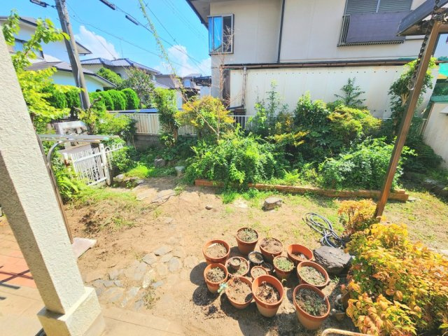 庭