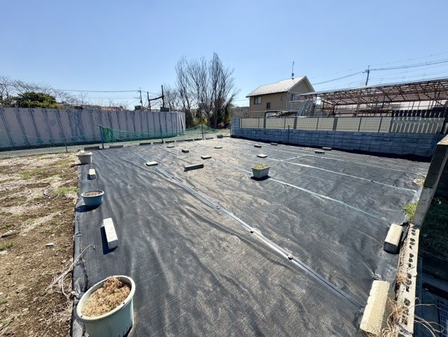 令和6年12月撮影