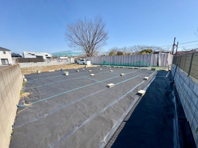 令和6年12月撮影