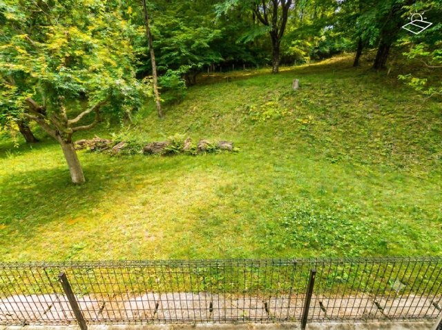 ダイニングの窓から望むことが出来る黒川池谷戸緑地。鳥のさえずりが心地よいです♪現状、年に一度、川崎市の方で草刈りを実施しています。