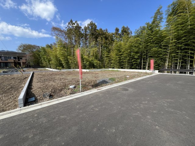 現地写真