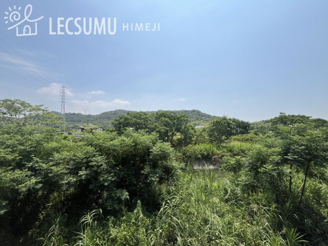 展望