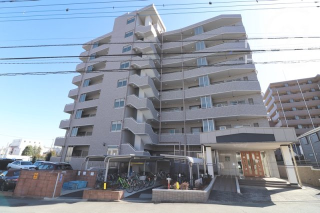 外観：313004684737