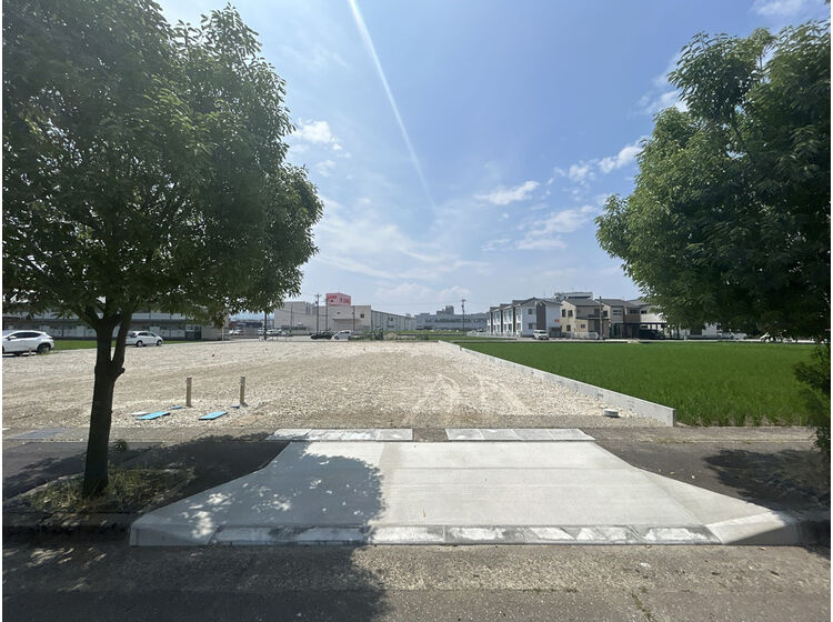 外観：317000010982