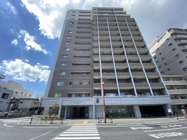 外観：335000034715