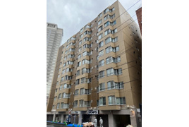 マジソンハイツの外観