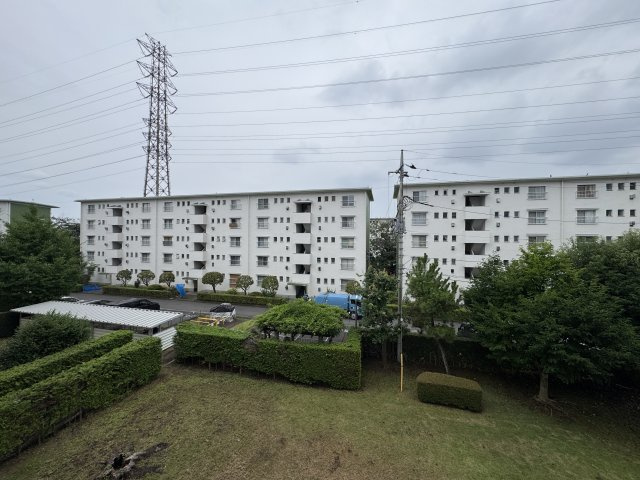 展望