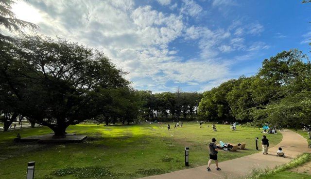 鶴間公園は休日は家族の憩いの場としても人気です。