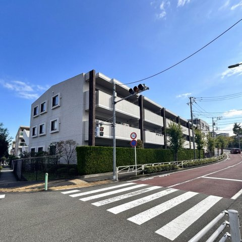 外観：313004933620