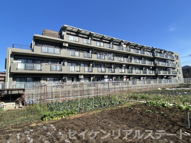 南側、生産緑地につき陽当たり良好です