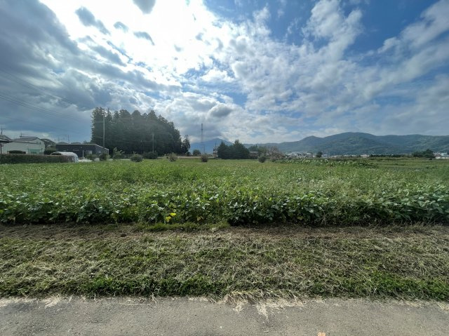 外観：308000181601