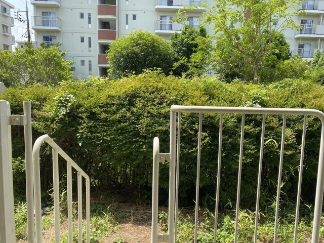 ガーデニングや家庭菜園も楽しめます。