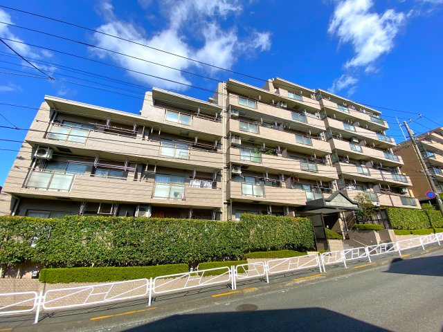 外観：313004404998