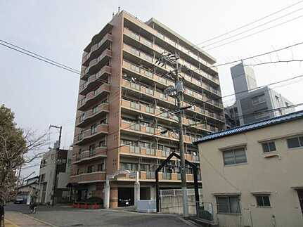 外観：334000240686