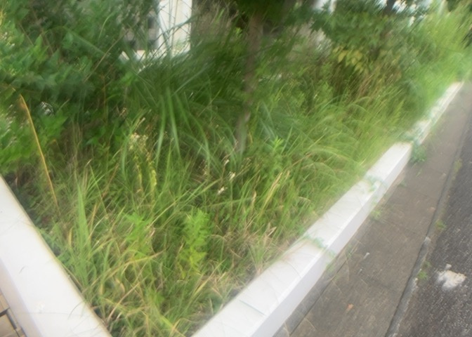 物件によっては、入居者が個人的に使用できる専用庭がついているものもあります。また、住宅の中にある土間の部分を庭と呼ぶこともあります。庭の用途は住む人によって変わり、それによってデザインもさまざまです。