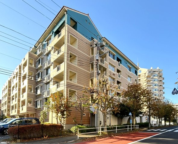 外観：313004824681