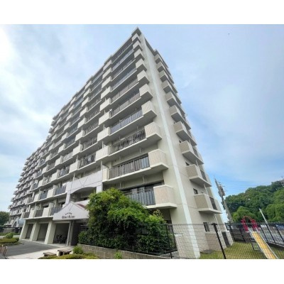 外観：340000260618