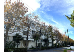 入船北エステート32号棟の外観