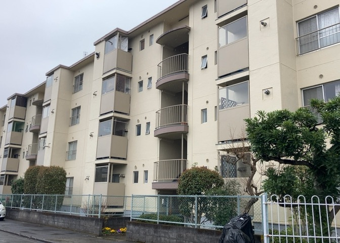 外観：313004583386