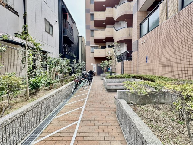 庭
