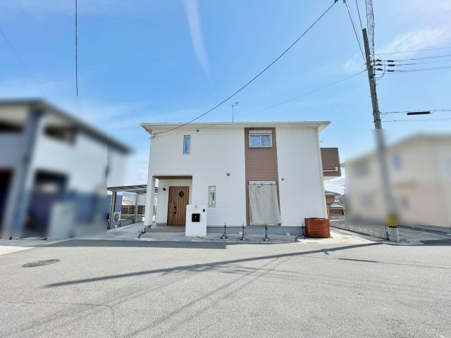 現地写真
