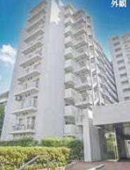 外観：313004662251