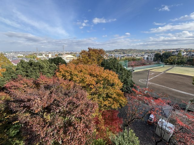 秋は美しい紅葉が窓から望めます。季節の移り変わりを直に感じることができます。