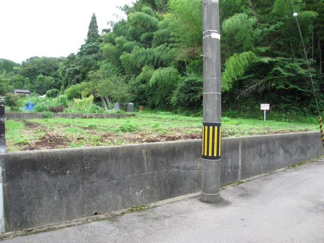 外観：317000004720