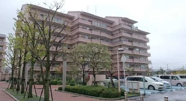 外観：325000119118