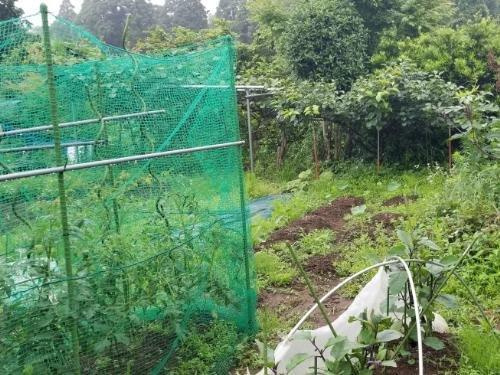 その他現地