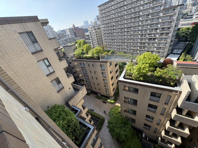 展望